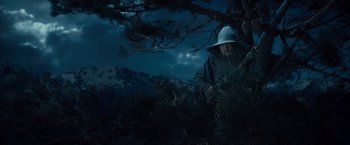 Movie still from “The Hobbit: An Unexpected Journey” (2012), directed by Peter Jackson – An old man with a long white beard wearing a white hat standing next to a tree in the dark; Wide shot, Low angle