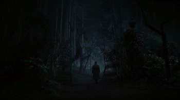 Movie still from “Dark Shadows” (2012), directed by Tim Burton – A man walking through a dark forest at night; Extreme Wide shot, Low angle