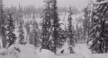 Movie still from “Day of the Outlaw” (1959), directed by André De Toth – A black and white photo of a person in the snow near trees; Extreme Wide shot, High angle