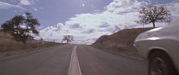 Movie still from “Death Proof” (2007), directed by Quentin Tarantino – A view from a car of a road with a tree in the middle of the road; Extreme Wide shot, High angle