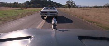 Movie still from “Death Proof” (2007), directed by Quentin Tarantino – A car driving down a road next to a tree; Wide shot, Low angle