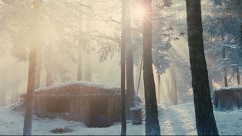 Movie still from “Defiance” (2008), directed by Edward Zwick – The sun is shining through the trees on a snowy day; Extreme Wide shot, Low angle