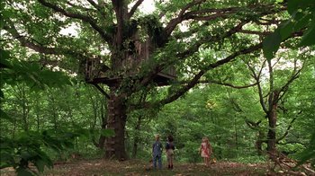 Movie still from “Dennis the Menace” (1993), directed by Nick Castle – Three people standing under a tree in the woods; Wide shot, Low angle