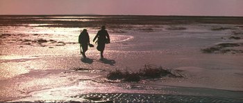 Movie still from “Dersu Uzala” (1975), directed by Akira Kurosawa – Two people walking on the beach at sunset; Extreme Wide shot, High angle