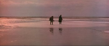 Movie still from “Dersu Uzala” (1975), directed by Akira Kurosawa – Two people walking on the beach at sunset; Extreme Wide shot, High angle