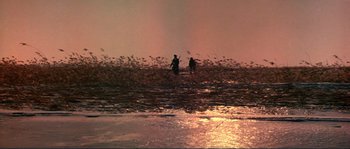 Movie still from “Dersu Uzala” (1975), directed by Akira Kurosawa – Two people standing in the water at sunset; Extreme Wide shot, High angle
