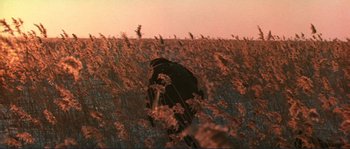 Movie still from “Dersu Uzala” (1975), directed by Akira Kurosawa – A person standing in a field at sunset; Extreme Wide shot, High angle