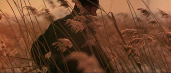Movie still from “Dersu Uzala” (1975), directed by Akira Kurosawa – A man standing next to tall grass in a field; Extreme Close Up shot, High angle