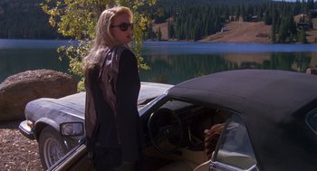 Movie still from “Desperate Hours” (1990), directed by Michael Cimino – A woman standing next to the steering wheel of a car; Wide shot, Over the shoulder angle