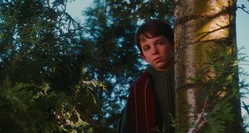 Movie still from “Diary of a Wimpy Kid” (2010), directed by Thor Freudenthal – A young boy standing next to a tree in the woods; Medium shot, Low angle
