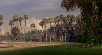Movie still from “Dinosaur” (2000), directed by Eric Leighton – A group of palm trees that are in the grass; Extreme Wide shot, High angle