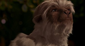 Movie still from “Dinosaur” (2000), directed by Eric Leighton – A dog's face with a blurry background; Close Up shot, High angle