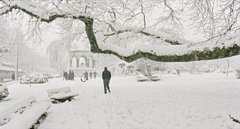 Movie still from “Distant” (2002), directed by Nuri Bilge Ceylan – A person walking in the snow under a large tree; Extreme Wide shot, High angle