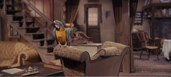 Movie still from “Doctor Dolittle” (1967), directed by Richard Fleischer – A parrot sitting on top of an old couch; Wide shot, High angle