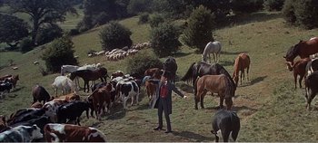 Movie still from “Doctor Dolittle” (1967), directed by Richard Fleischer – A herd of cattle grazing on a lush green hillside; Wide shot, High angle