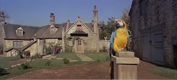 Movie still from “Doctor Dolittle” (1967), directed by Richard Fleischer – A yellow and blue parrot sitting on top of a wooden post; Wide shot, Low angle