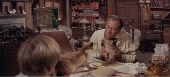 Movie still from “Doctor Dolittle” (1967), directed by Richard Fleischer – An old man sitting at a table with two cats; Medium shot, Over the shoulder angle