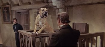 Movie still from “Doctor Dolittle” (1967), directed by Richard Fleischer – A man and a dog sitting on a table; Medium shot, Low angle