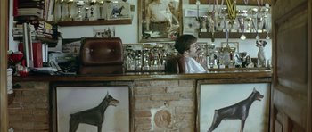 Movie still from “Dogtooth” (2009), directed by Yorgos Lanthimos – A man sitting at a bar with a dog on the wall behind him; Wide shot, Over the shoulder angle