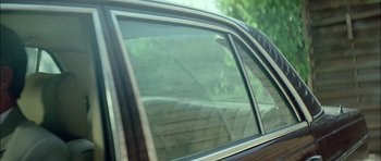 Movie still from “Dogtooth” (2009), directed by Yorgos Lanthimos – View of the side of a car window; Close Up shot, Low angle