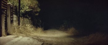 Movie still from “Dogtooth” (2009), directed by Yorgos Lanthimos – A dirt road that has a bunch of bushes on it; Extreme Wide shot, High angle