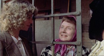 Movie still from “Don't Look Now” (1973), directed by Nicolas Roeg – A woman in a pink headscarf is looking through a fence; Close Up shot, Over the shoulder angle