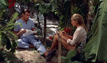 Movie still from “Dr. No” (1962), directed by Terence Young – A man and a woman sitting on the ground near a waterfall; Wide shot, High angle