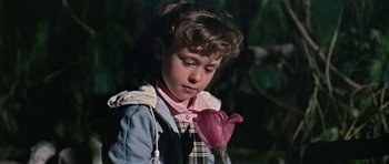 Movie still from “Dr. Who and the Daleks” (1965), directed by Gordon Flemyng – A young boy looking at a pink flower; Close Up shot, High angle