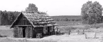 Movie still from “The Painted Bird” (2019), directed by Václav Marhoul – Extreme Wide shot, Low angle