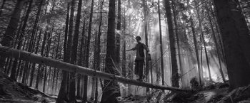 Movie still from “The Painted Bird” (2019), directed by Václav Marhoul – Wide shot, Low angle