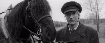 Movie still from “The Painted Bird” (2019), directed by Václav Marhoul – Close Up shot, Low angle