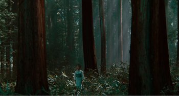 Movie still from “Dreams” (1990), directed by Akira Kurosawa – A woman standing in the middle of a forest; Extreme Wide shot, High angle