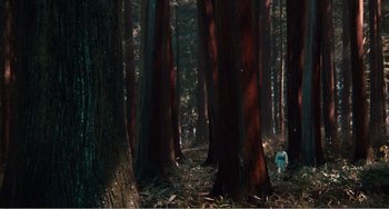 Movie still from “Dreams” (1990), directed by Akira Kurosawa – A person walking through a forest of tall trees; Extreme Wide shot, High angle