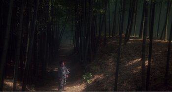 Movie still from “Dreams” (1990), directed by Akira Kurosawa – A child is standing in the middle of a forest; Extreme Wide shot, High angle