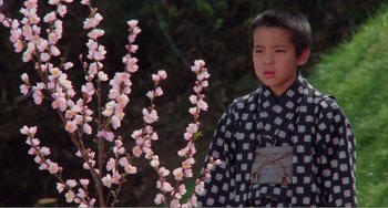 Movie still from “Dreams” (1990), directed by Akira Kurosawa – A boy in a kimono standing in front of some flowers; Medium shot, High angle