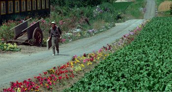 Movie still from “Dreams” (1990), directed by Akira Kurosawa – A man walking down a dirt road near a field of flowers; Wide shot, High angle