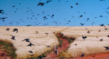 Movie still from “Dreams” (1990), directed by Akira Kurosawa – A person standing on a dirt path in the middle of a field; Extreme Wide shot, High angle