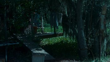 Movie still from “The Paperboy” (2012), directed by Lee Daniels – Clothes are hanging on a line next to a tree; Extreme Wide shot, High angle