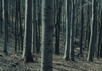 Movie still from “EO” (2022), directed by Jerzy Skolimowski – A person riding a bike through a forest; Extreme Wide shot, High angle