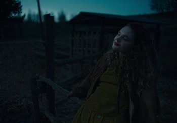 Movie still from “EO” (2022), directed by Jerzy Skolimowski – A young woman standing next to a wooden fence at night; Medium shot, Low angle