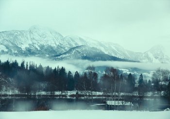 Movie still from “EO” (2022), directed by Jerzy Skolimowski – A view of a snowy mountain with trees in the background; Extreme Wide shot, High angle