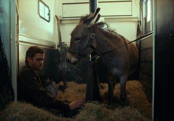 Movie still from “EO” (2022), directed by Jerzy Skolimowski – A man sitting next to a donkey in a barn; Wide shot, Over the shoulder angle