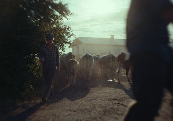 Movie still from “EO” (2022), directed by Jerzy Skolimowski – A man herds a herd of cattle down a dirt road; Wide shot, Low angle