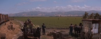 Movie still from “East of Eden” (1955), directed by Elia Kazan – A group of people standing in the middle of an open field; Extreme Wide shot, High angle