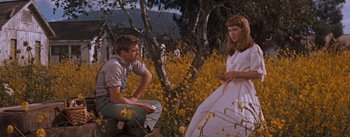 Movie still from “East of Eden” (1955), directed by Elia Kazan – A man and a woman are sitting in a field of yellow flowers; Medium shot, Low angle