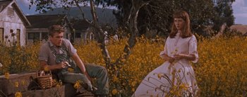 Movie still from “East of Eden” (1955), directed by Elia Kazan – Two people sitting in a field of yellow flowers; Wide shot, Low angle