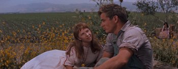 Movie still from “East of Eden” (1955), directed by Elia Kazan – A man and a woman sitting on a blanket in a field of flowers; Medium shot, Over the shoulder angle
