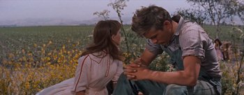 Movie still from “East of Eden” (1955), directed by Elia Kazan – A man and a woman standing in a field; Medium shot, Over the shoulder angle