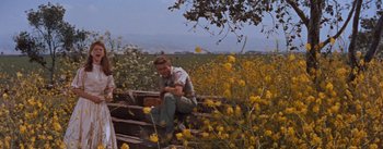 Movie still from “East of Eden” (1955), directed by Elia Kazan – A man sitting on a wooden platform in a field; Wide shot, Low angle