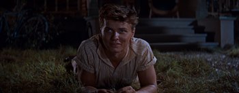 Movie still from “East of Eden” (1955), directed by Elia Kazan – A man laying on the ground in the grass; Medium shot, Over the shoulder angle